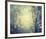 Winter Glow-Irene Suchocki-Framed Giclee Print