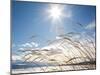 Winter Grass-Andrew Geiger-Mounted Photographic Print