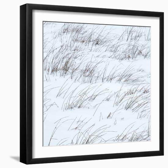 Winter Haiku-Doug Chinnery-Framed Photographic Print