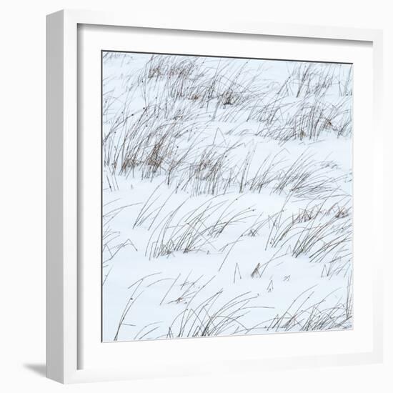 Winter Haiku-Doug Chinnery-Framed Photographic Print