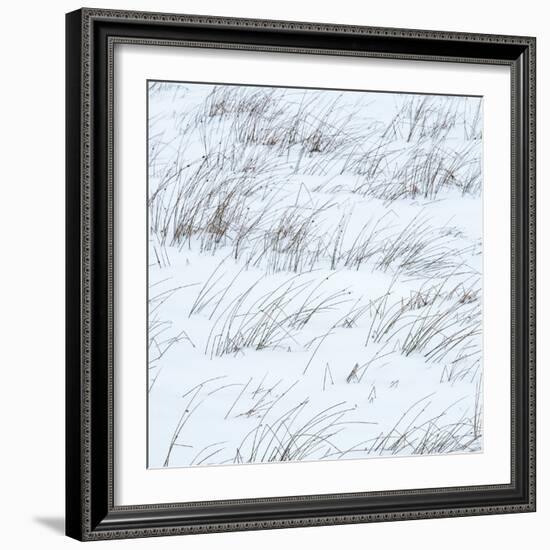 Winter Haiku-Doug Chinnery-Framed Photographic Print