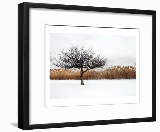 Winter Harmony-Jan Michael Ringlever-Framed Art Print
