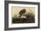 Winter Hawk-John James Audubon-Framed Giclee Print