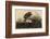 Winter Hawk-John James Audubon-Framed Giclee Print