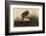 Winter Hawk-John James Audubon-Framed Giclee Print