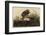 Winter Hawk-John James Audubon-Framed Giclee Print