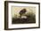 Winter Hawk-John James Audubon-Framed Giclee Print