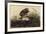 Winter Hawk-John James Audubon-Framed Giclee Print