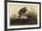 Winter Hawk-John James Audubon-Framed Giclee Print
