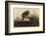 Winter Hawk-John James Audubon-Framed Art Print