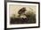 Winter Hawk-John James Audubon-Framed Art Print