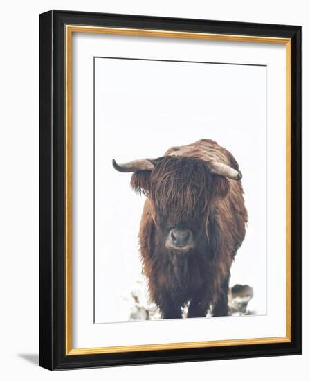 Winter Highland Cow-Leah Straatsma-Framed Art Print