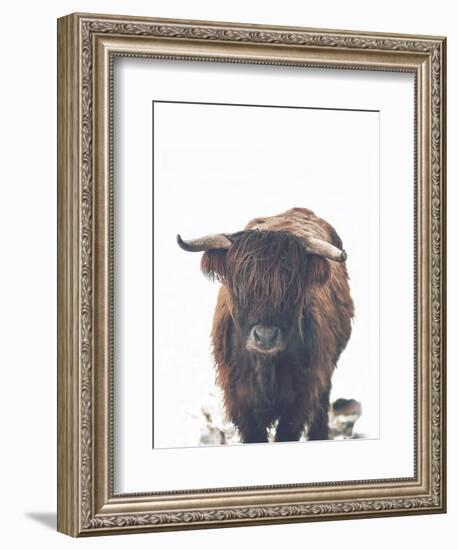 Winter Highland Cow-Leah Straatsma-Framed Premium Giclee Print