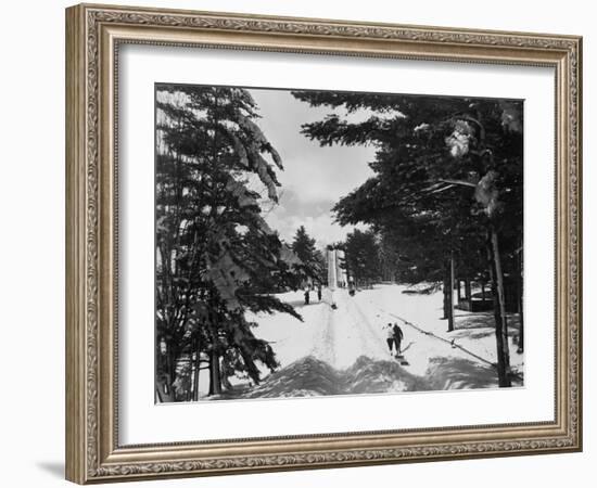 Winter Holiday-null-Framed Photo