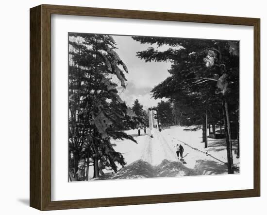 Winter Holiday-null-Framed Photo