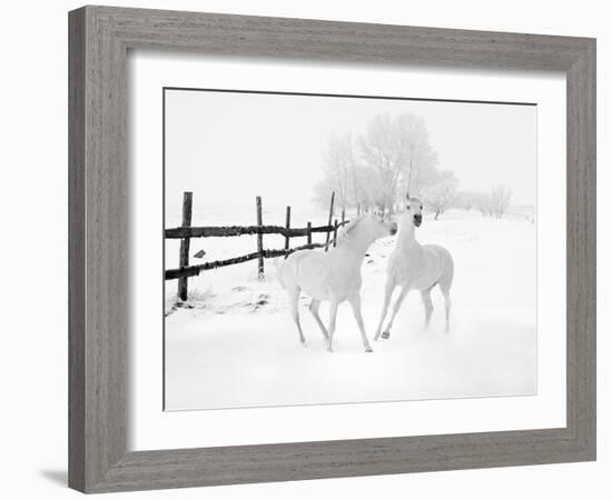 Winter Horses-Ata Alishahi-Framed Giclee Print