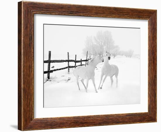 Winter Horses-Ata Alishahi-Framed Giclee Print