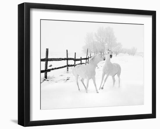 Winter Horses-Ata Alishahi-Framed Giclee Print