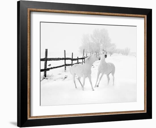 Winter Horses-Ata Alishahi-Framed Giclee Print