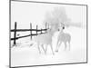 Winter Horses-Ata Alishahi-Mounted Giclee Print