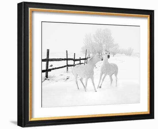 Winter Horses-Ata Alishahi-Framed Giclee Print