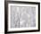 Winter Hush II-Doug Chinnery-Framed Photographic Print