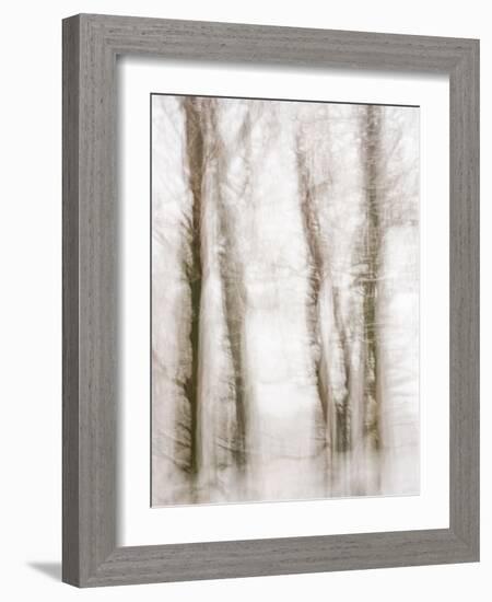 Winter Hush IV-Doug Chinnery-Framed Photographic Print