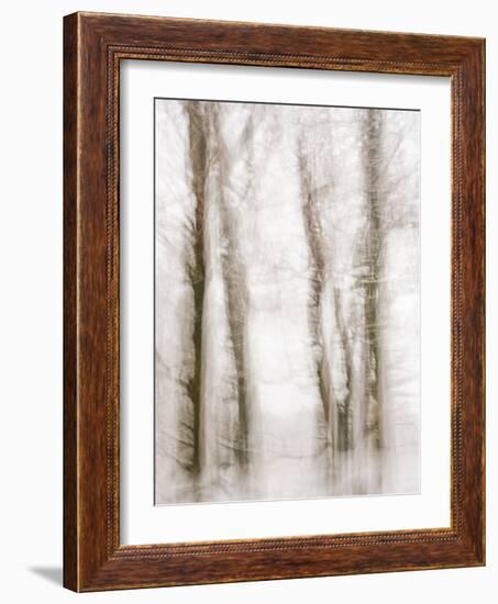 Winter Hush IV-Doug Chinnery-Framed Photographic Print