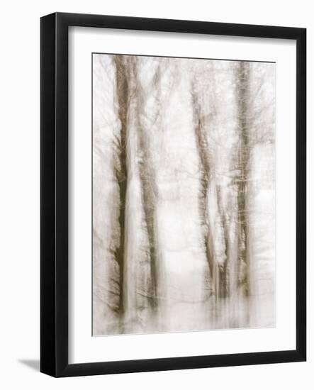 Winter Hush IV-Doug Chinnery-Framed Photographic Print