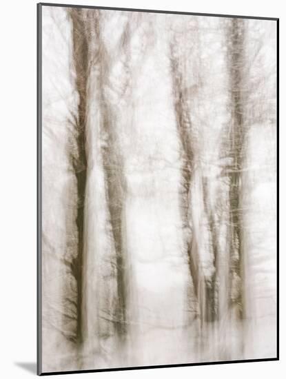 Winter Hush IV-Doug Chinnery-Mounted Photographic Print