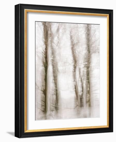 Winter Hush IV-Doug Chinnery-Framed Photographic Print