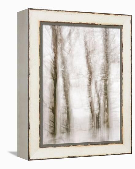 Winter Hush IV-Doug Chinnery-Framed Premier Image Canvas