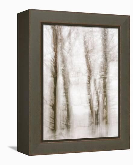 Winter Hush IV-Doug Chinnery-Framed Premier Image Canvas