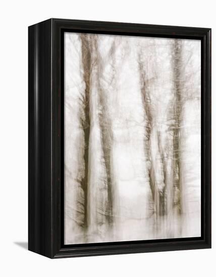 Winter Hush IV-Doug Chinnery-Framed Premier Image Canvas