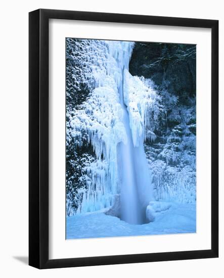 Winter ice hangs on Horsetail Falls, Columbia River Gorge National Scenic Area, Multnomah County...-null-Framed Photographic Print