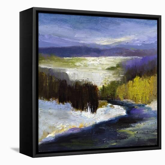 Winter II-Sheila Finch-Framed Stretched Canvas
