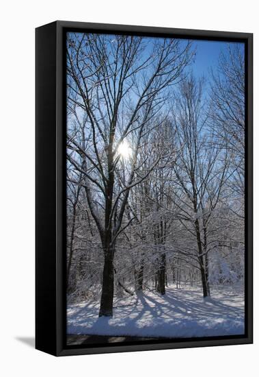 Winter in Eagle Creek Park, Indianapolis, Indiana, USA-Anna Miller-Framed Premier Image Canvas