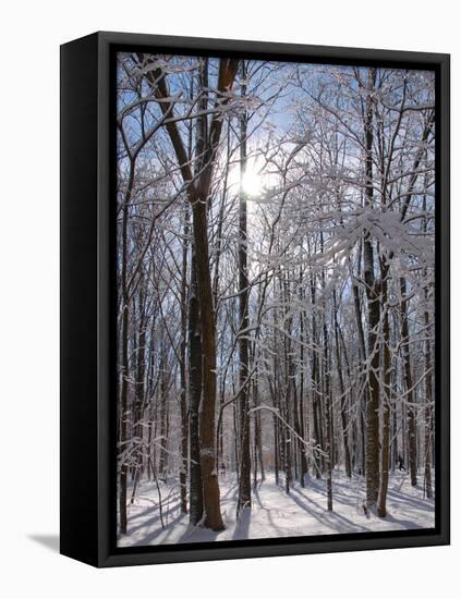 Winter in Eagle Creek Park, Indianapolis, Indiana, USA-Anna Miller-Framed Premier Image Canvas