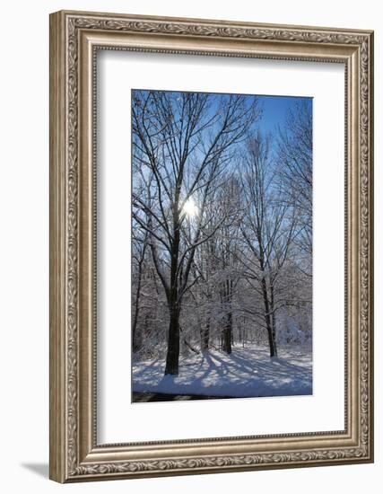 Winter in Eagle Creek Park, Indianapolis, Indiana, USA-Anna Miller-Framed Photographic Print