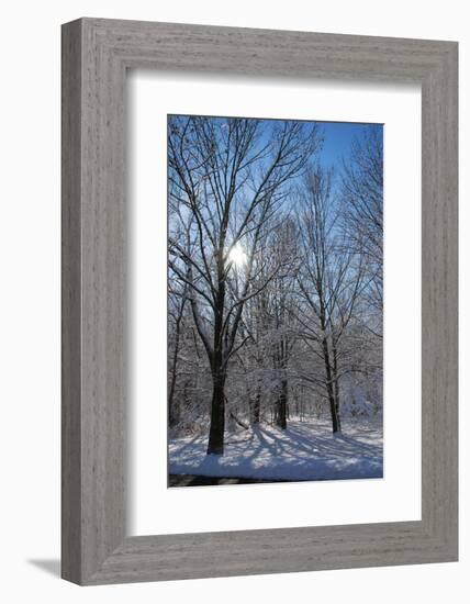 Winter in Eagle Creek Park, Indianapolis, Indiana, USA-Anna Miller-Framed Photographic Print