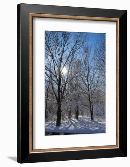 Winter in Eagle Creek Park, Indianapolis, Indiana, USA-Anna Miller-Framed Photographic Print