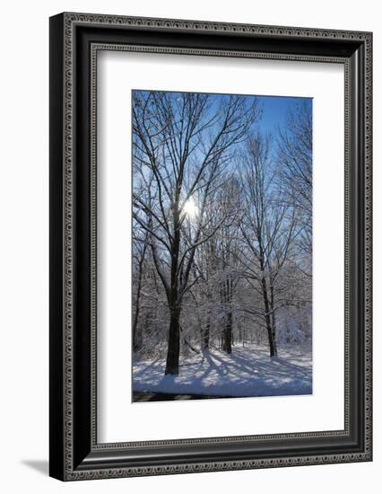 Winter in Eagle Creek Park, Indianapolis, Indiana, USA-Anna Miller-Framed Photographic Print