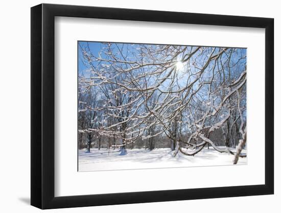 Winter in Eagle Creek Park, Indianapolis, Indiana, USA-Anna Miller-Framed Photographic Print