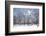 Winter in Eagle Creek Park, Indianapolis, Indiana, USA-Anna Miller-Framed Photographic Print