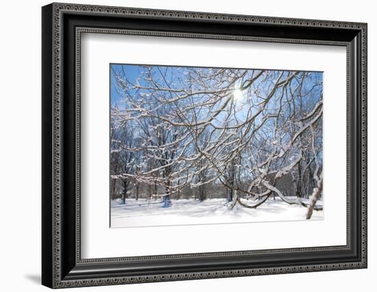 Winter in Eagle Creek Park, Indianapolis, Indiana, USA-Anna Miller-Framed Photographic Print