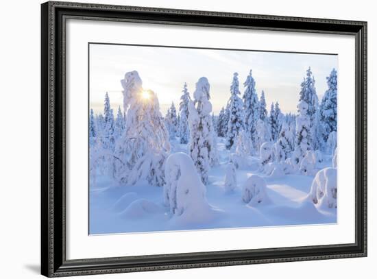 Winter in Riisitunturi National Park, Lapland, Finland-Peter Adams-Framed Photographic Print