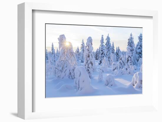 Winter in Riisitunturi National Park, Lapland, Finland-Peter Adams-Framed Photographic Print