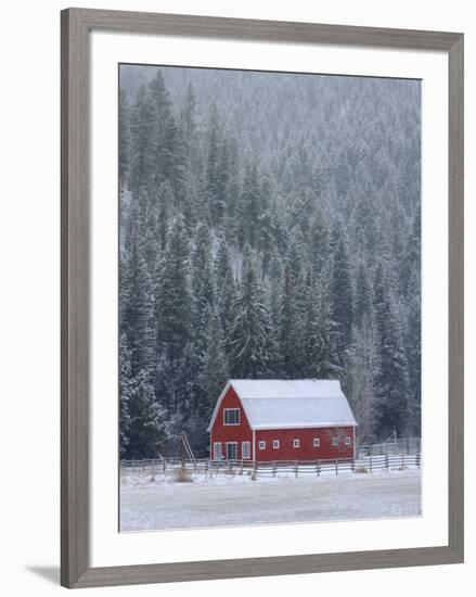 Winter in Sula-Jason Savage-Framed Art Print