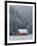 Winter in Sula-Jason Savage-Framed Art Print