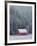 Winter in Sula-Jason Savage-Framed Art Print